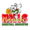 山丘黄蜂